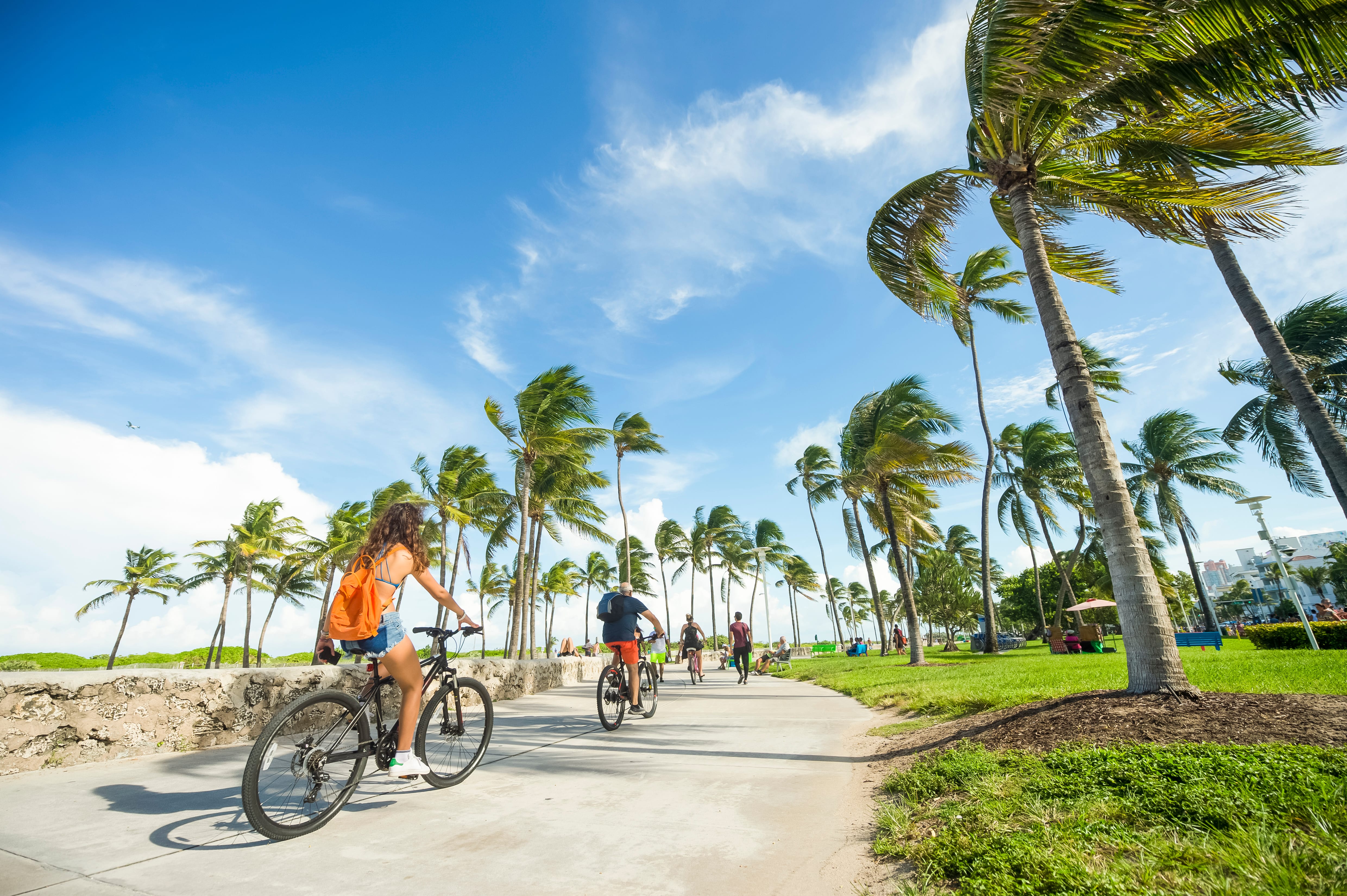 Cyclists enjoying a sunny day on a Florida pathway lined with tall swaying palm trees.