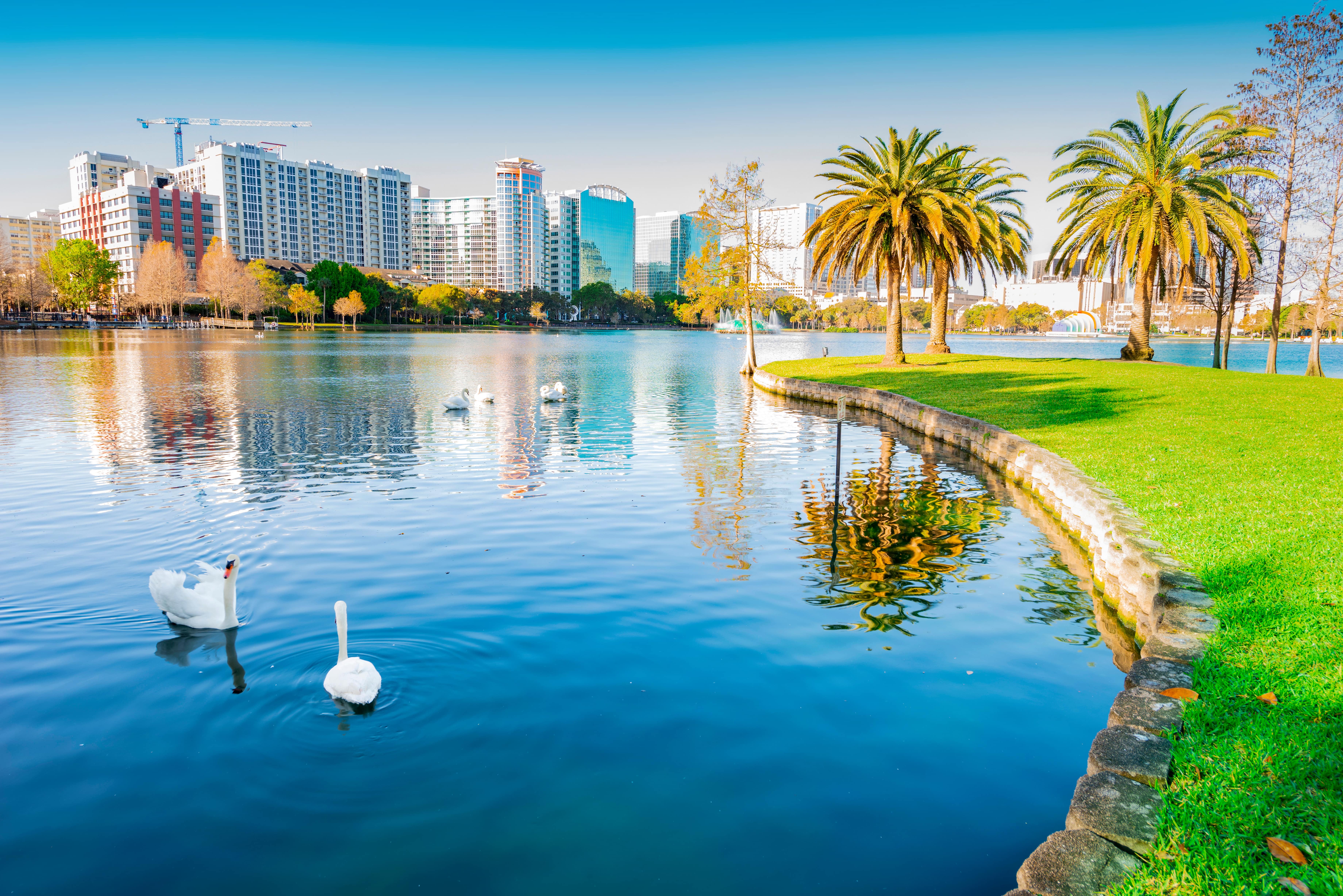 A scenic view of downtown Orlando with swans swimming in a lake, showcasing the city’s vibrant real estate market.