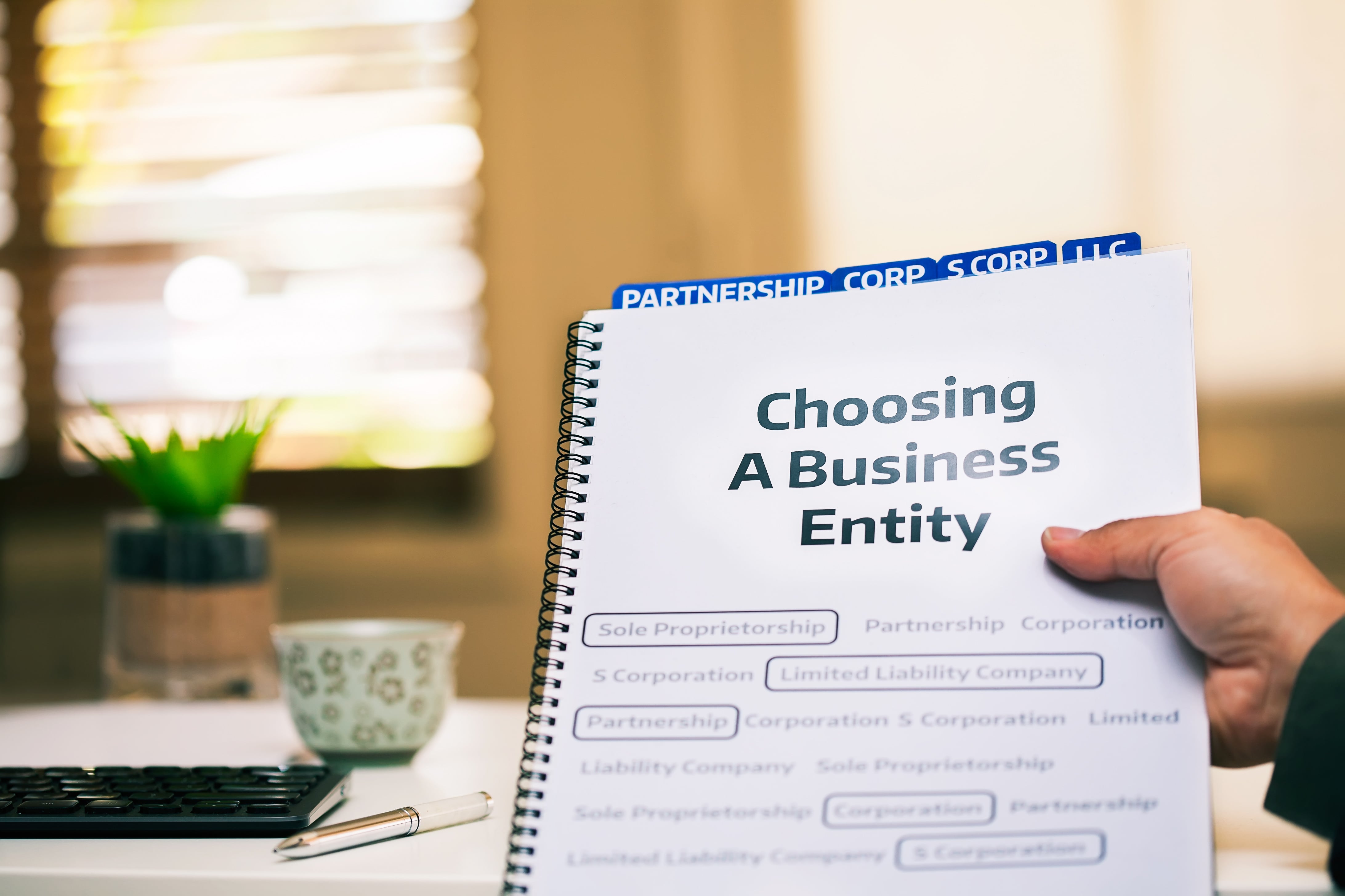 A hand holding a booklet titled ‘Choosing a Business Entity’ with tabs for different business structures, including LLC and S Corporation.