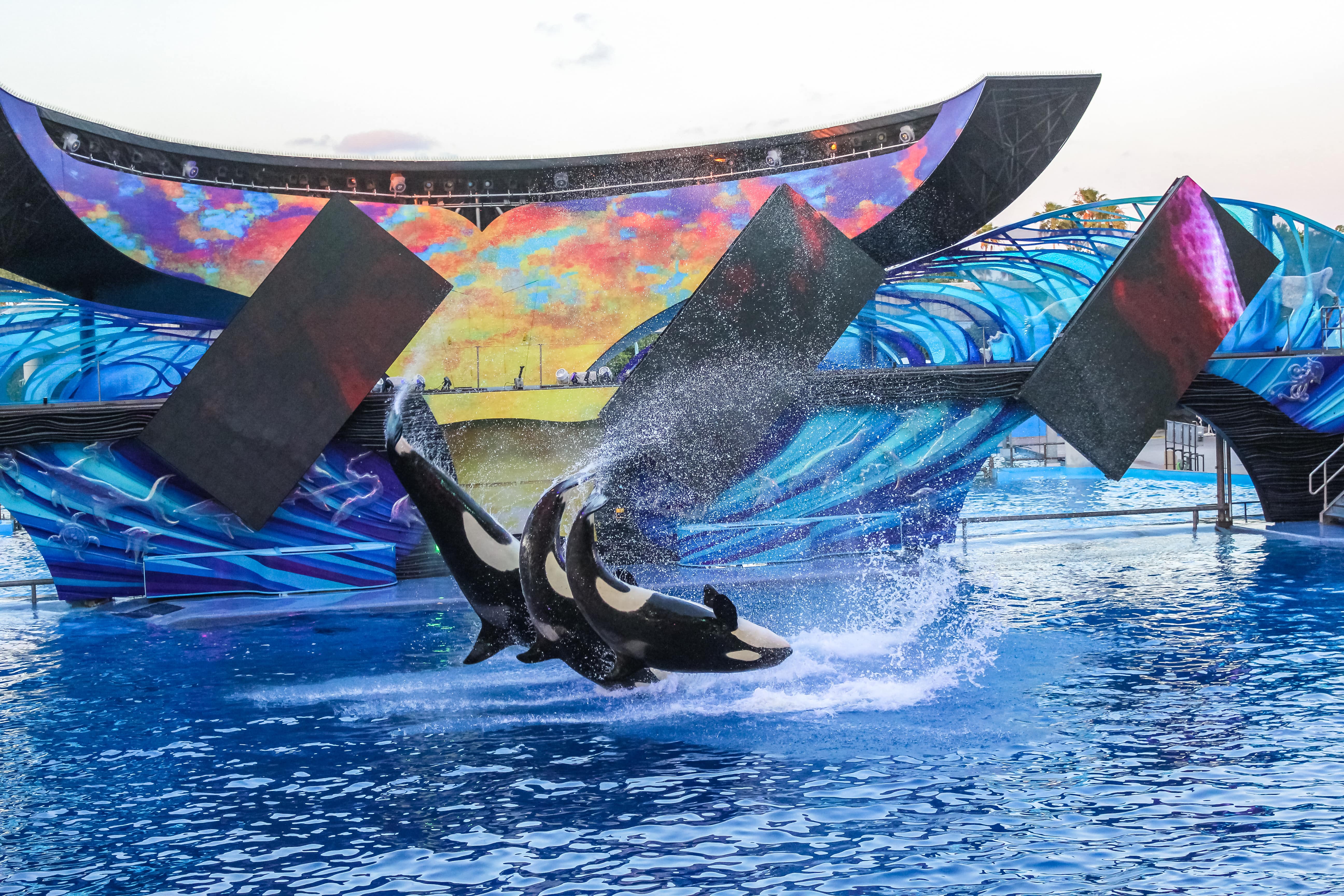 SeaWorld Orlando - Mako roller coaster and marine life exhibits