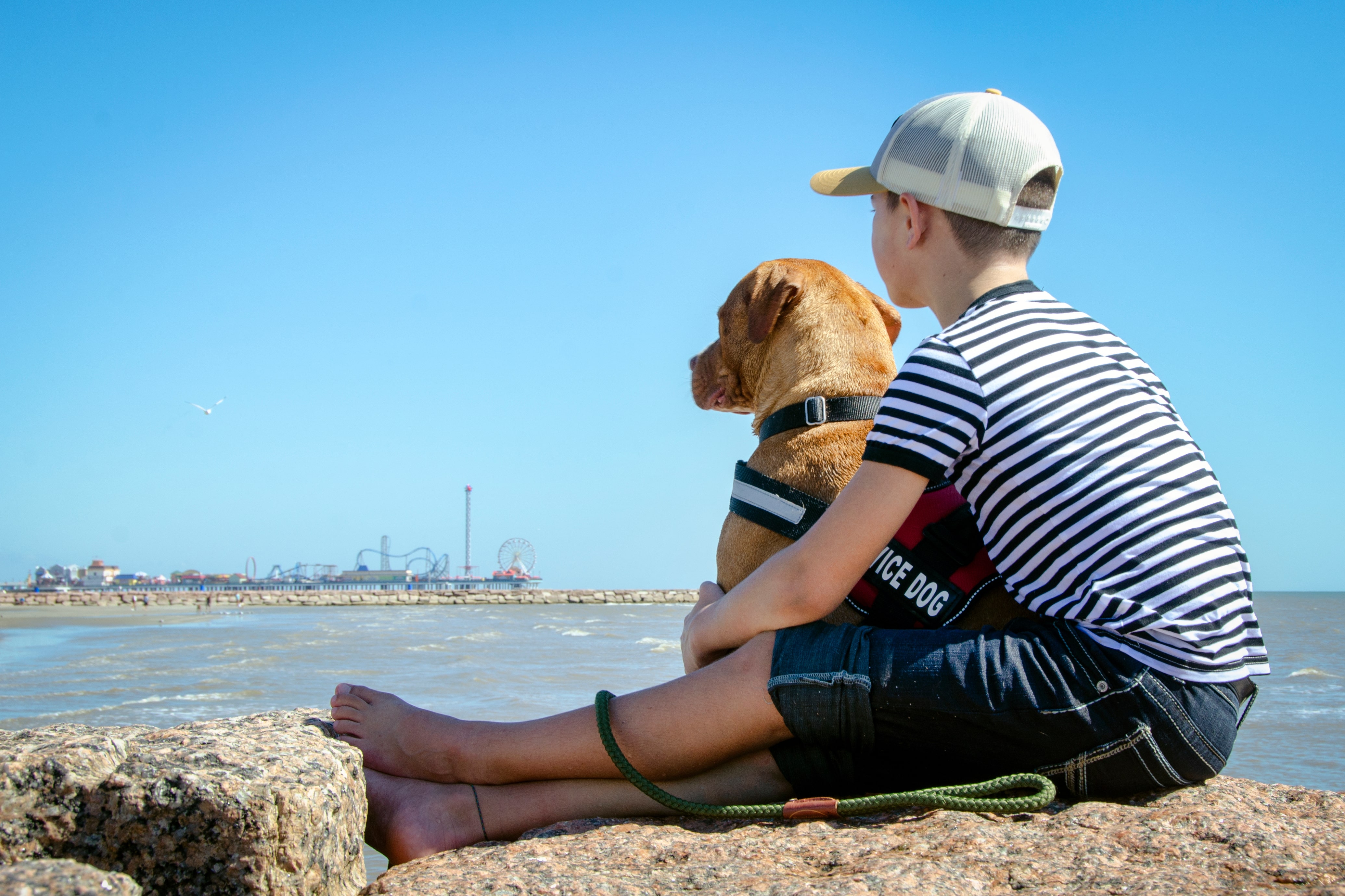 Person cuddling with emotional support animal.