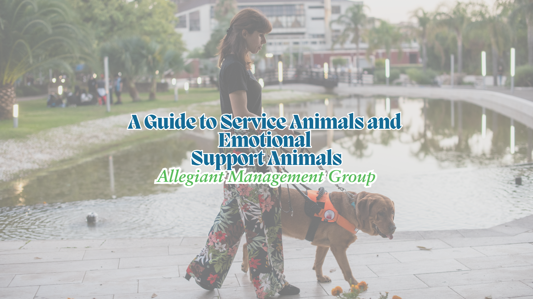 A Guide to Service Animals and Emotional Support Animals